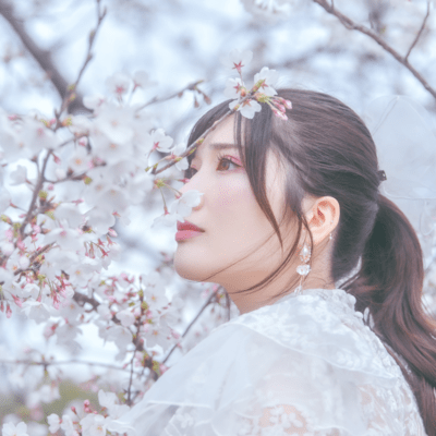 kiminosakura Front Cover