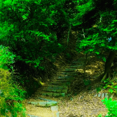 Furrrz (feat. マツダユウキ)のジャケット写真