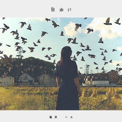 freely Front Cover