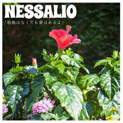根拠はなくても愛はあるよのジャケット写真