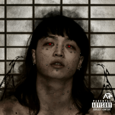 never die Front Cover