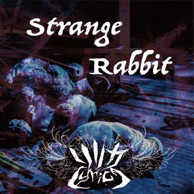 Strange Rabbit Front Cover