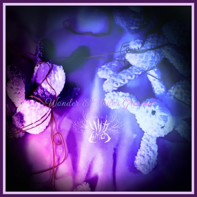 Wonder & Under Ground Front Cover