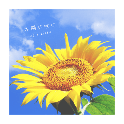 太陽に咲けのジャケット写真