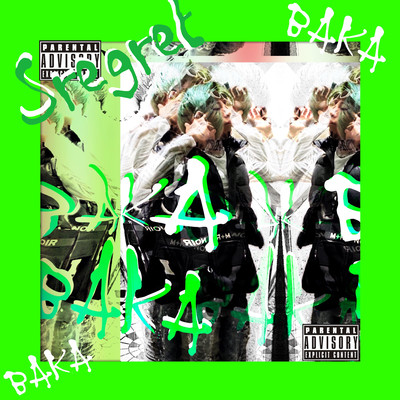 BAKA Front Cover