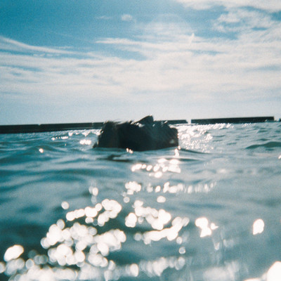 I've given up on giving up Front Cover