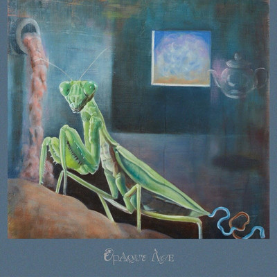 OpaqueAge Front Cover