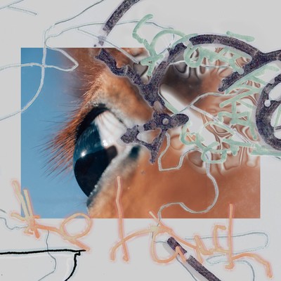 shape of raw to comeのジャケット写真