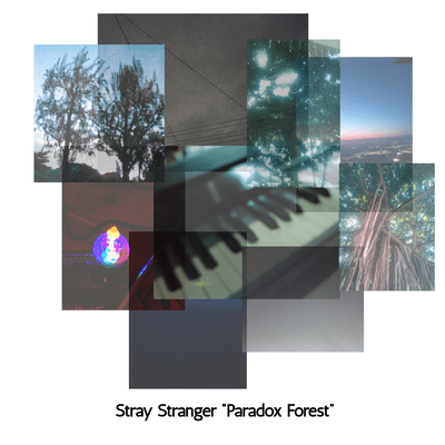 Paradox Forest Front Cover