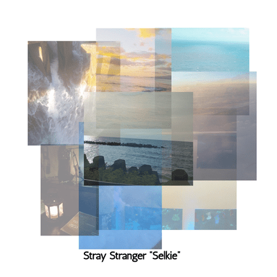 Selkie Front Cover