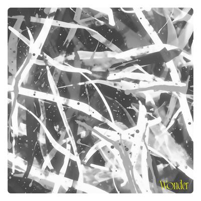 Wonder (DEMO) Front Cover