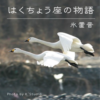 The Story of Swans Front Cover