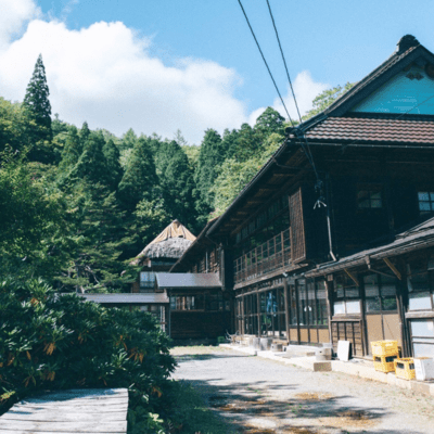 Wanderのジャケット写真