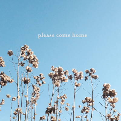 please come home Front Cover