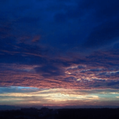 進退 (feat. 重音テト)のジャケット写真