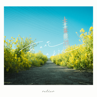 Like a field of mustard blossoms (feat. TORi) Front Cover