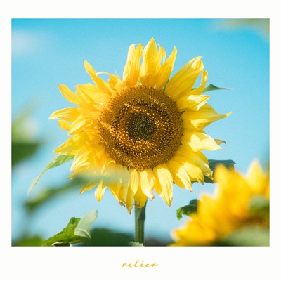 Sun flower (feat. Lem) Front Cover