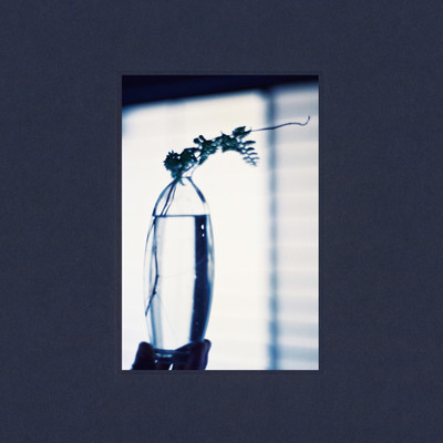 The Lines of My Hand Front Cover