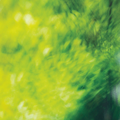 Three Blossoms Front Cover