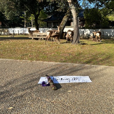 Sarnath Love (ver.001)のジャケット写真