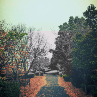 without being noticed Front Cover