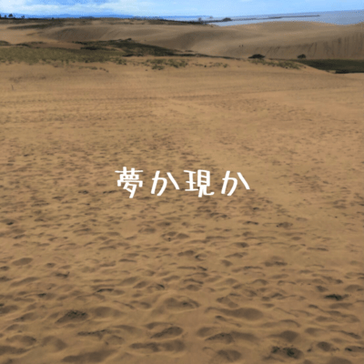 夢か現かのジャケット写真