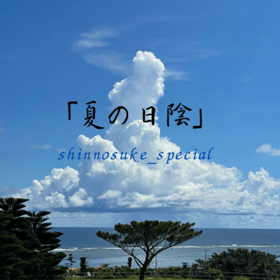 夏の日陰のジャケット写真