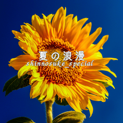 Summer Romance Front Cover