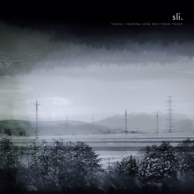 'Cause I Wanna Seek Out Your Trust Front Cover