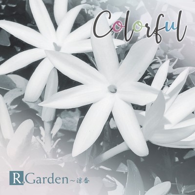 colorful 涼香 R.Gardennのジャケット写真