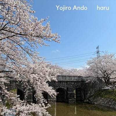 haru Front Cover