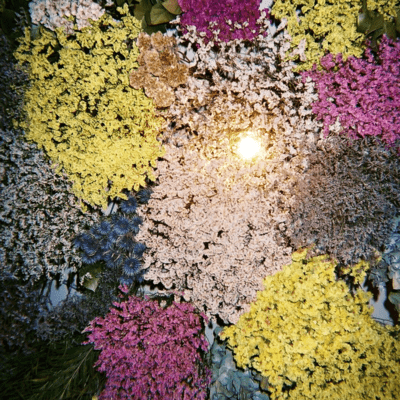 Fragment Front Cover