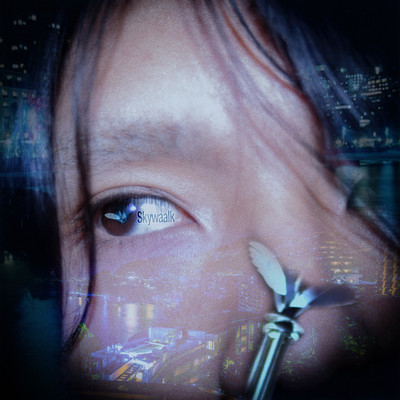 Skywaalk Front Cover