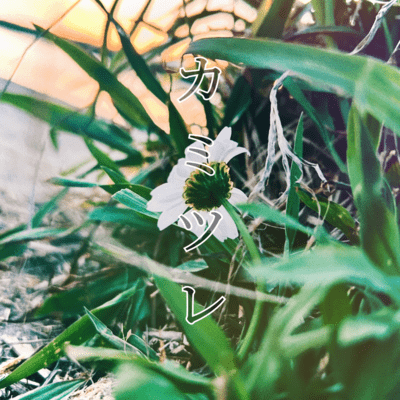 kamiture Front Cover