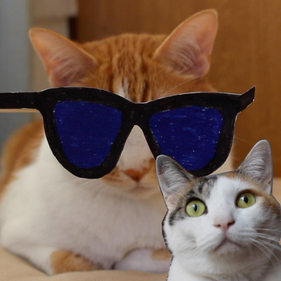 DORUDORUDORUDORUDONDAYO! Front Cover