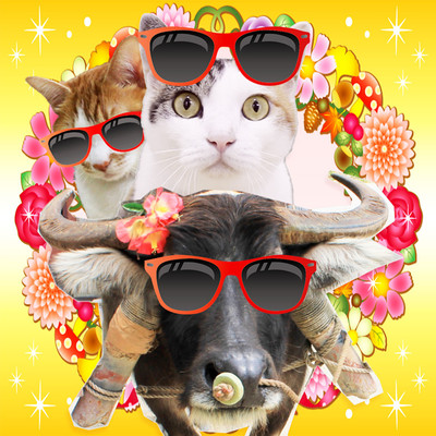 CHAI ride a HANACHAN and go anywhere Front Cover