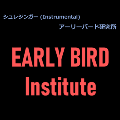 シュレジンガー (Instrumental)のジャケット写真