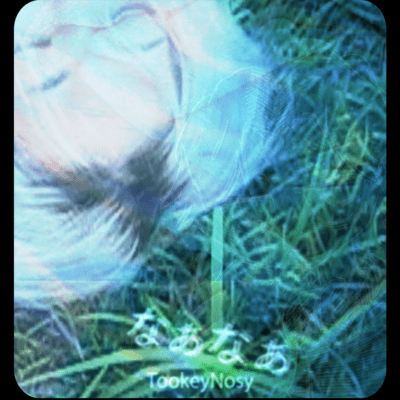 NaNa Front Cover
