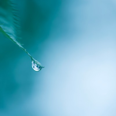 aru (2023)のジャケット写真