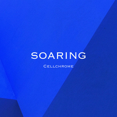 SOARINGのジャケット写真