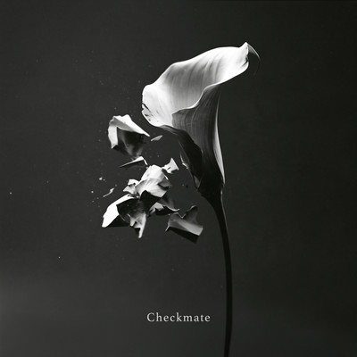 Checkmate Front Cover