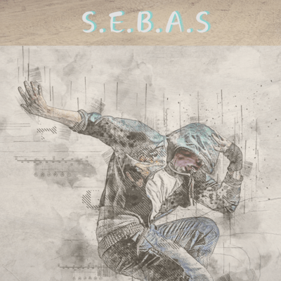 S.E.B.A.Sのジャケット写真