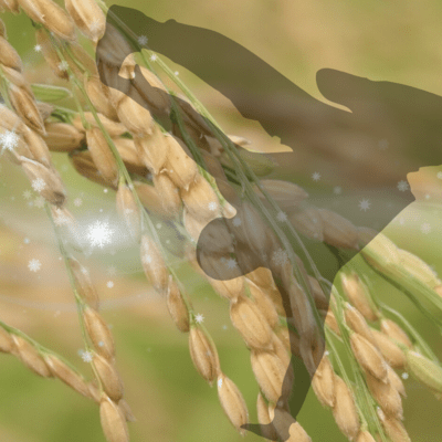 geng mai! (feat. Potemking)のジャケット写真