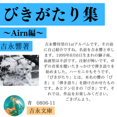 bikigatarisyu ~Airnhen~ Front Cover