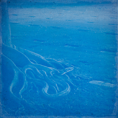 Cyanotype Front Cover
