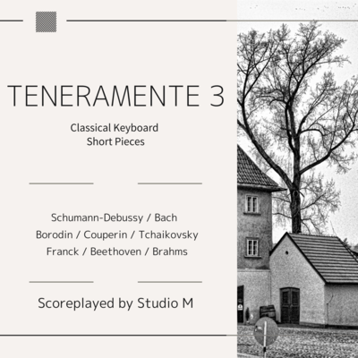 TENERAMENTE 3のジャケット写真