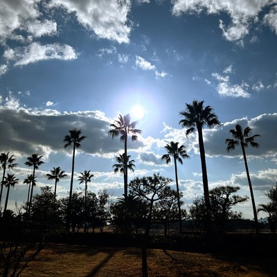 Seaside Sunset Front Cover