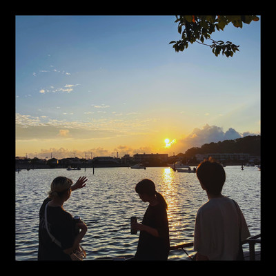 Insignificant days Front Cover