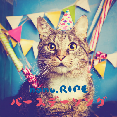 Birthday Song Front Cover