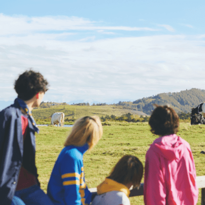 memoryのジャケット写真